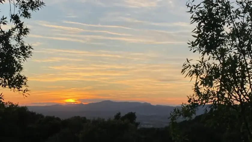 Blog Entry Emma Cogan 2 Photo 2