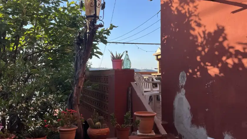 Blog Entry Emma Cogan Photo 1